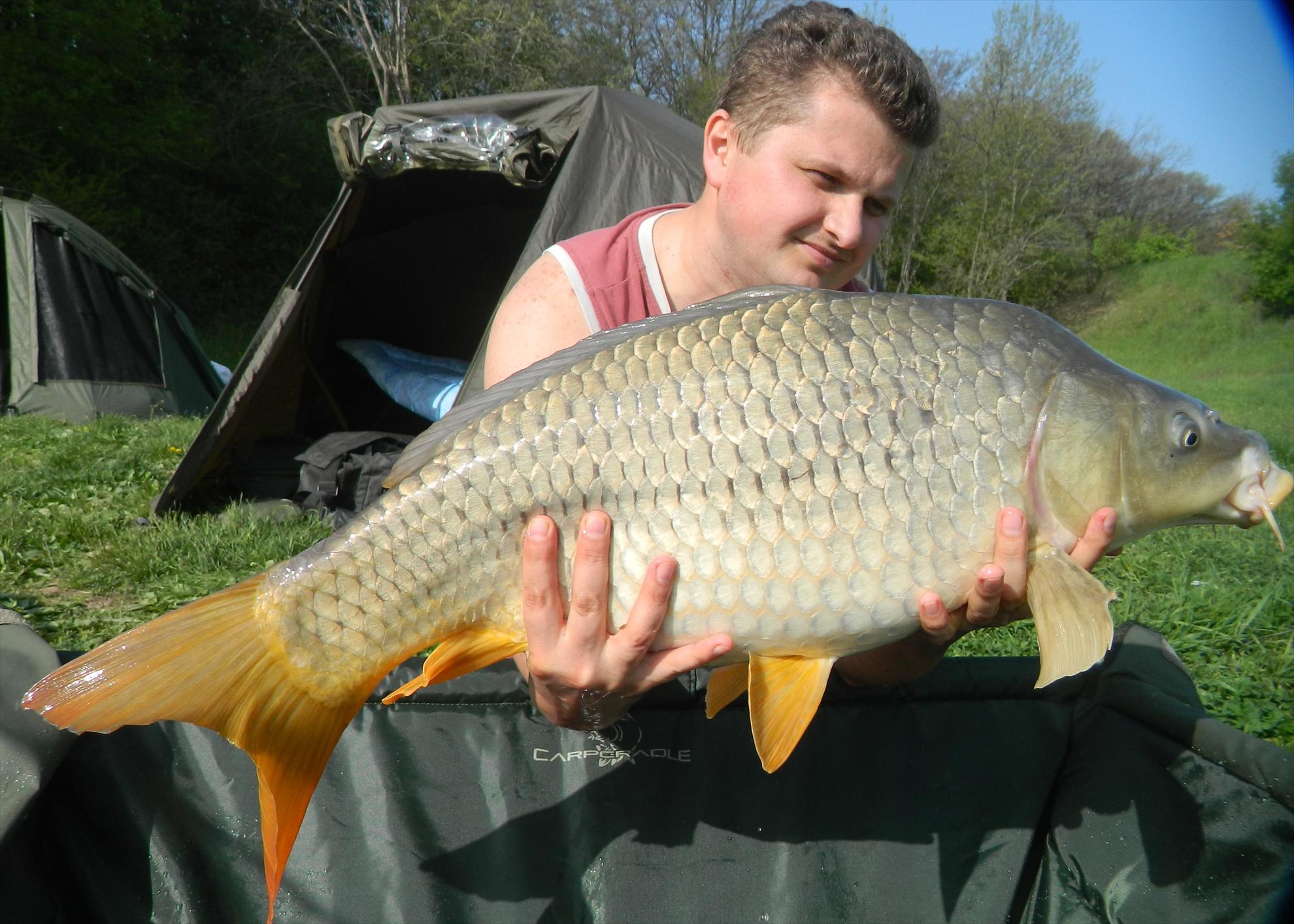 Sisterea 29 apr. - 1 mai.